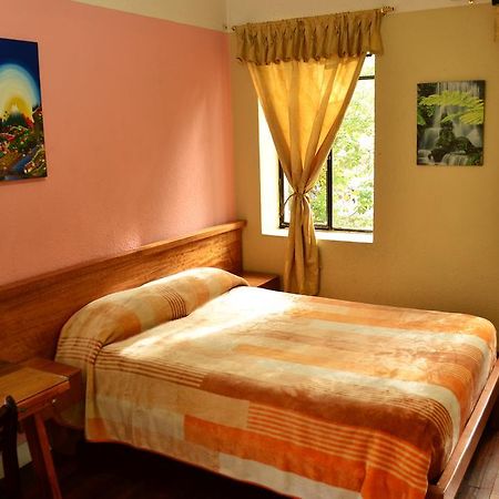 Hostal Loro Verde Quito Esterno foto